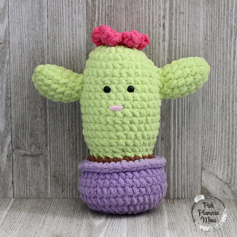 Baby Cactus is a little friend that can go anywhere.