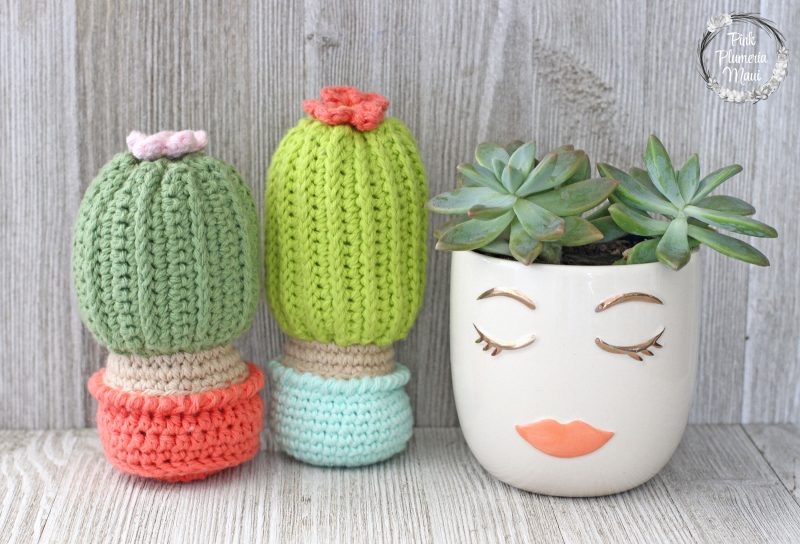 Tall and Short Crocheted Cactus in a pot that stands up.